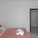 Ane مولونات