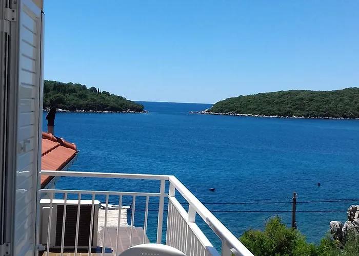 Ane Apartman Molunat